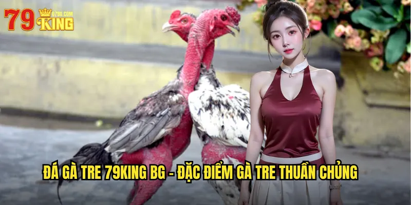 Đá gà tre 79king bg - Đặc Điểm Gà Tre Thuần Chủng