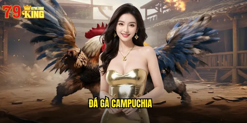 Đá Gà Campuchia 79king BG - Trải Nghiệm Đấu Trường Gà Khmer 4 Đá Gà Campuchia