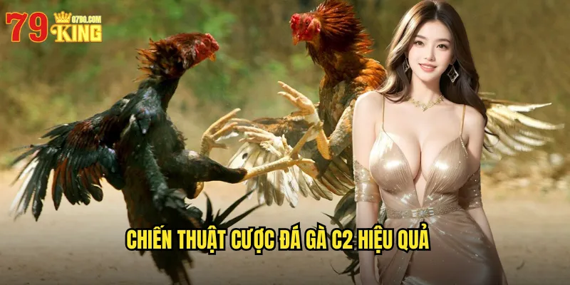 Đá Gà C2 79king BG - Giải Đấu Gà Hạng Hai Không Kém Phần Kịch Tính 3 Chiến Thuật Cược Đá Gà C2 Hiệu Quả