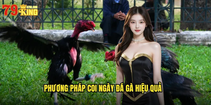 Coi Ngày Đá Gà 79king BG - Chọn Ngày Tốt Để Gà Chiến Thắng 3 Phương Pháp Coi Ngày Đá Gà Hiệu Quả
